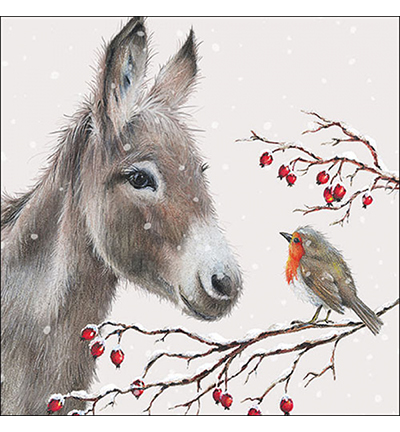 33320100 - Ambiente - Donkey and robin