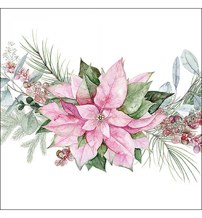 33320285 - Ambiente - Pink poinettia