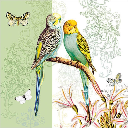 13314315 - Ambiente - Budgies Green
