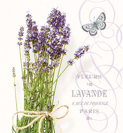 13311695 - Ambiente - Bunch Of Lavender