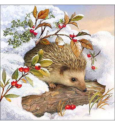 33310515 - Ambiente - Hedgehog In Snow