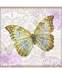 13315925 - Papillon