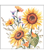 13317440 - Sunflowers