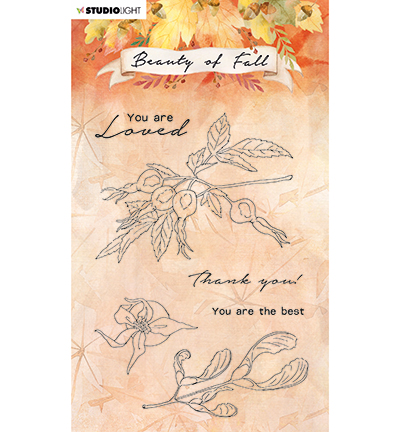 SL-BF-STAMP64 - StudioLight - SL Clear stamp Rose hips Beauty of Fall nr.64