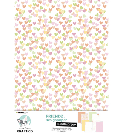 CCL-FR-PS01 - CraftLab - Paper Bundle of Joy Assortment set Friendz nr.01