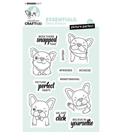 CCL-ES-STAMP221 - CraftLab - Picture perfect Buddy Essentials nr.221