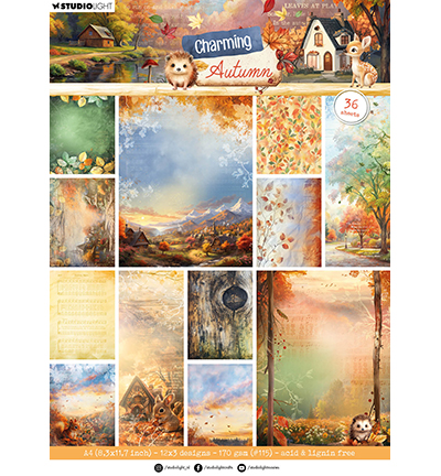  -  - Background papers Charming Autumn nr.362