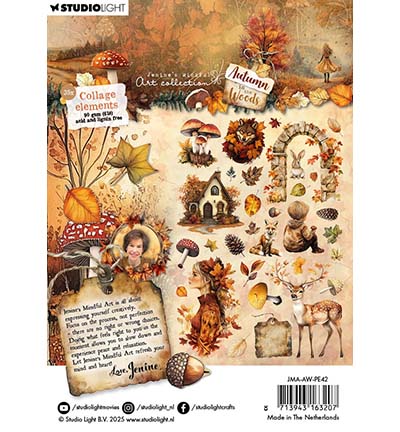 JMA-AW-PE42 - Jenines - Collage elements Autumn In The Woods nr. 42