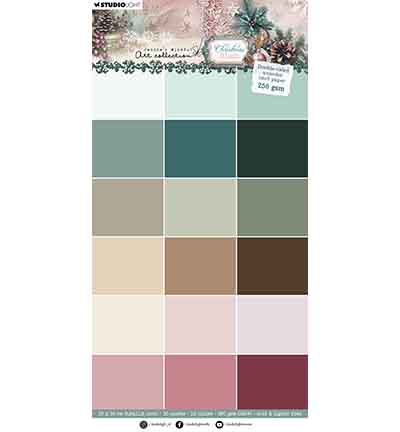  -  - Double-sided card paper Christmas Blush nr. 395