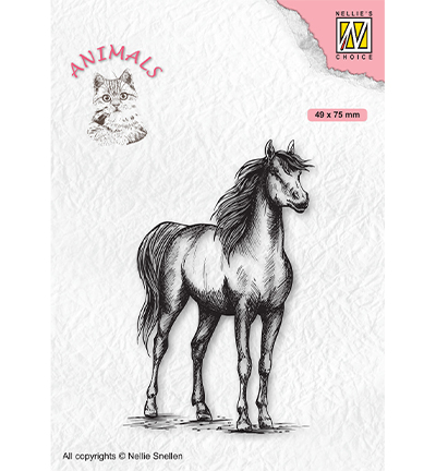 ANI019 - Nellies Choice - Animals Horse