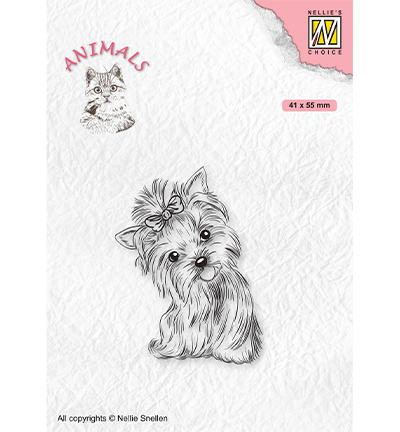 ANI020 - Nellies Choice - Animals Yorkshire terrier