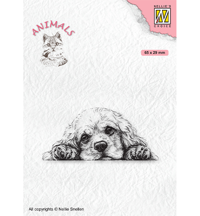 ANI022 - Nellies Choice - Animals Spaniel dog