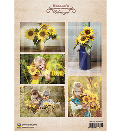 NEVI079 - Nellies Choice - Sunflowers