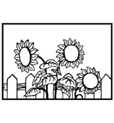 HSF026 - Nellies Choice - Embossing Folder Sunflowers