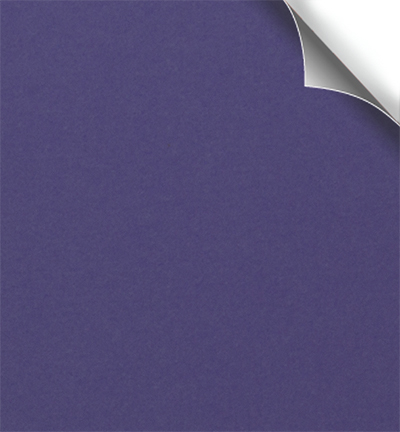 212908 - Papicolor - Dark violet