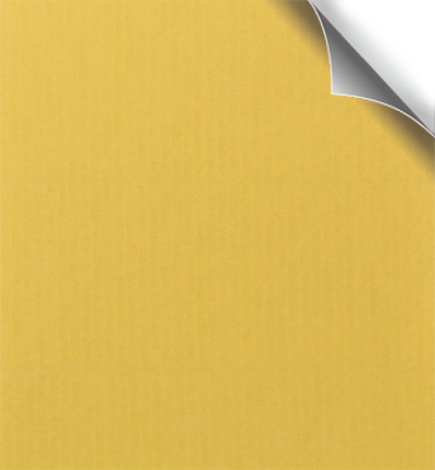 212928 - Papicolor - Daffodil yellow