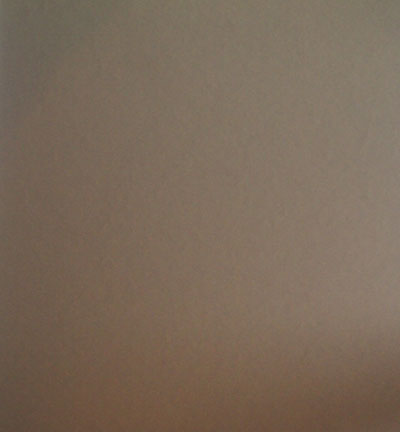 298961 - Papicolor - Cardstock, Taupe