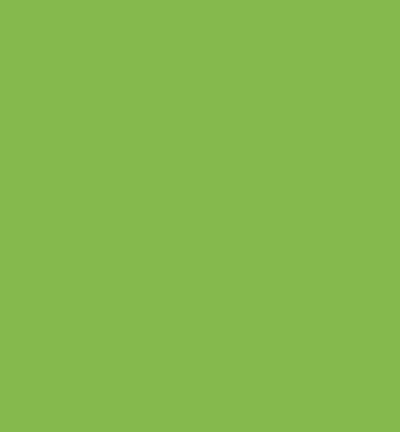 301907 - Papicolor - Carton, Vert herbe