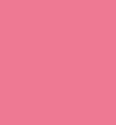 301915 - Papicolor - Carton, Rose dur