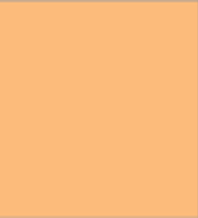 20871(50vel) - Papicolor - Unicolors Orange                                       