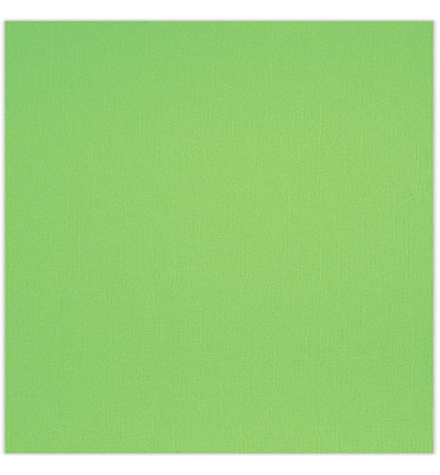 80020033 - Ursus - Strukture Basic Paper, Apple green