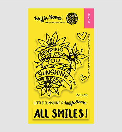 271139 - Waffle Flower - Little Sunshine
