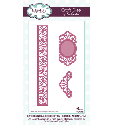 CED5202 - Creative Expressions - Border, Accent and Tag