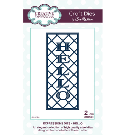 CED5401 - Creative Expressions - Hello