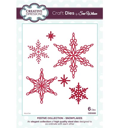 CED3020 - Creative Expressions - Snowflakes