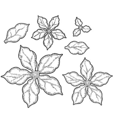 UMS634 - Creative Expressions - Shaded Poinsettia