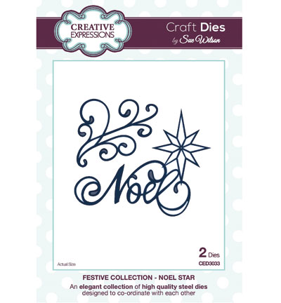 CED3033 - Creative Expressions - Noel Star