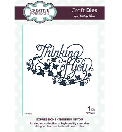 CED5411 - Creative Expressions - Thinking of You