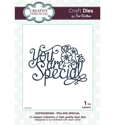 CED5412 - Creative Expressions - You are Special