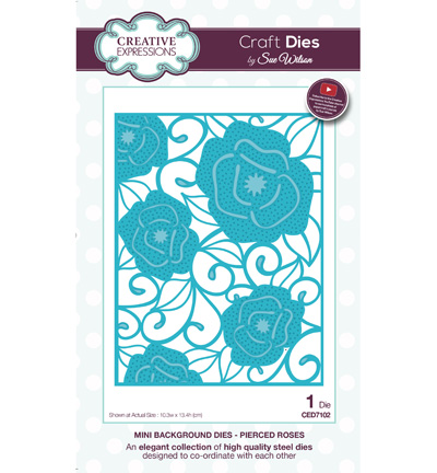 CED7102 - Creative Expressions - Mini Background - Pierced Roses