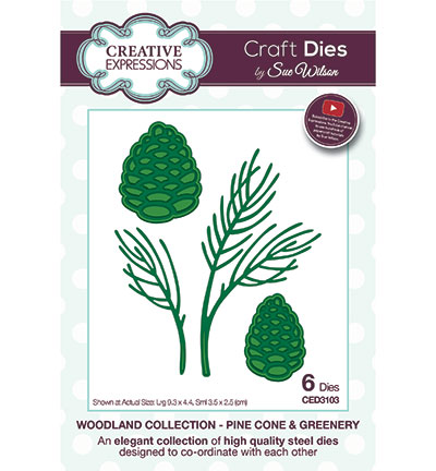 CED3103 - Creative Expressions - Pine Cone & Greenery