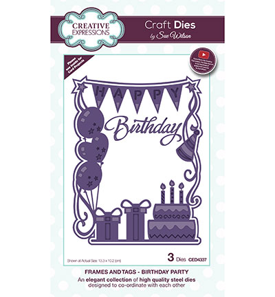 CED4337 - Creative Expressions - Birthday Party