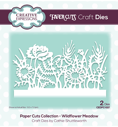 CEDPC1037 - Creative Expressions - Wildflower Meadow