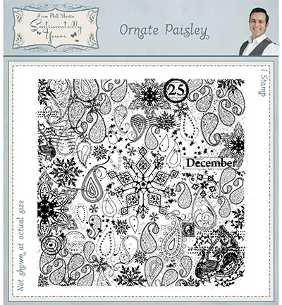 SYR025 - Creative Expressions - Pre Cut Rubber Stamp Ornate Paisley