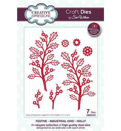 CED3161 - Creative Expressions - Holly