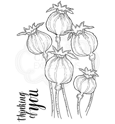 JGS658 - Creative Expressions - Poppy Heads