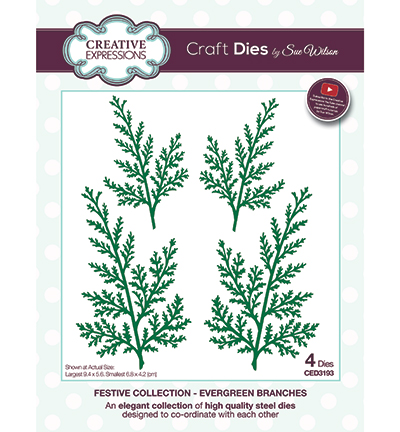 CED3193 - Creative Expressions - Evergreen Branches