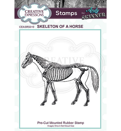 CEASRS010 - Creative Expressions - Skeleton of a Horse